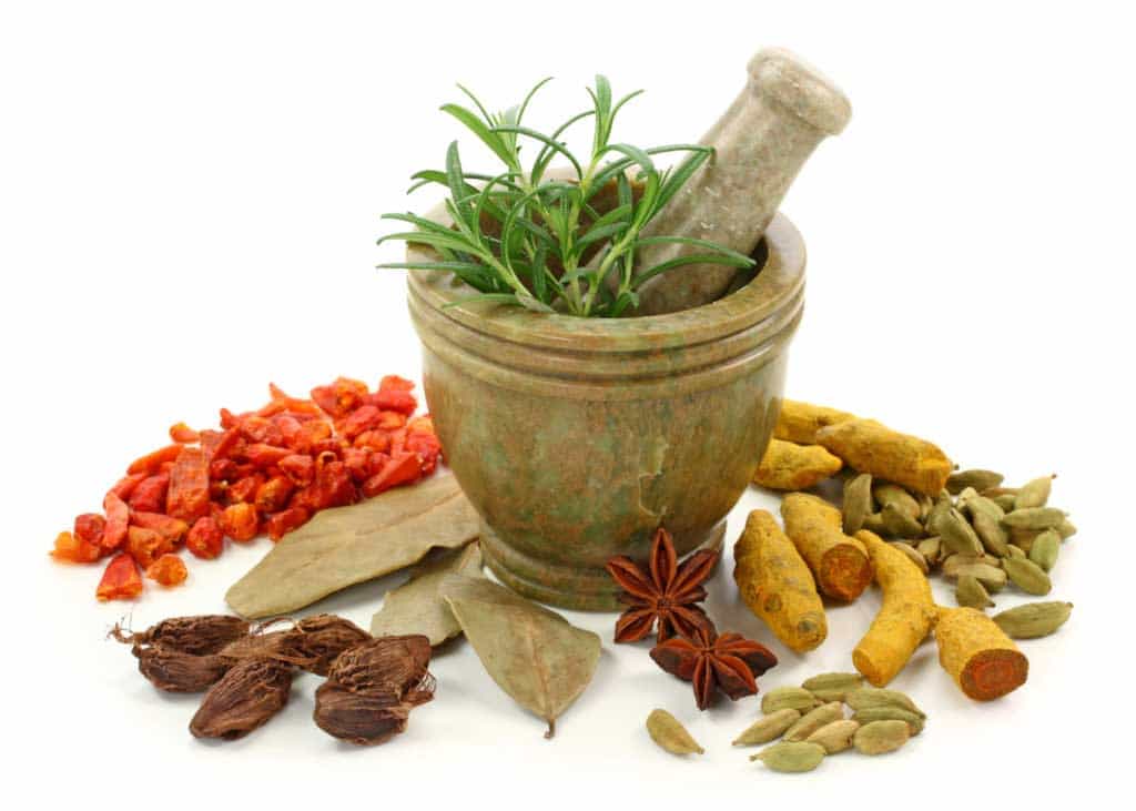 ayurvedic medicines