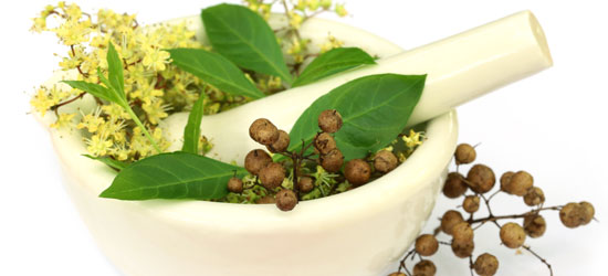 ayurvedic herbs