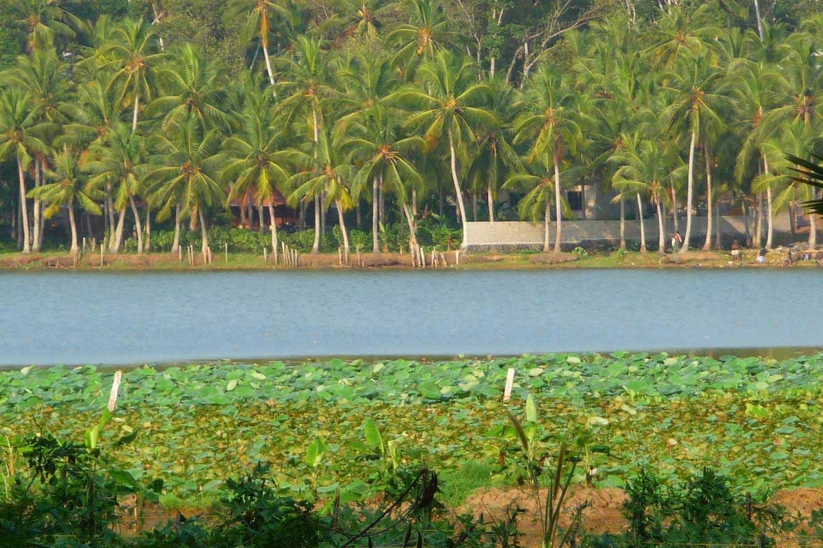 vellayani lake