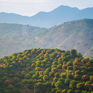 Ponmudi