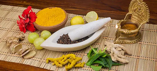 ayurvedic medicine ingredients