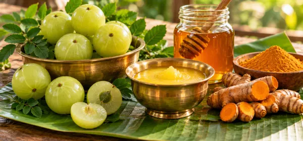 Rasayana Chikitsa rejuvenation therapy