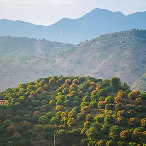 Ponmudi