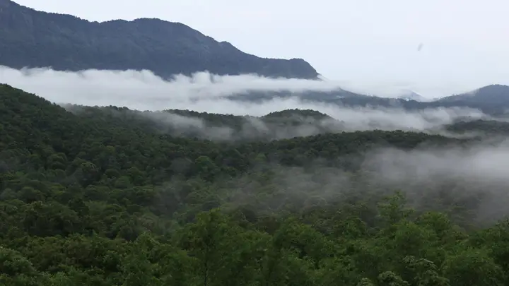Silent-valley