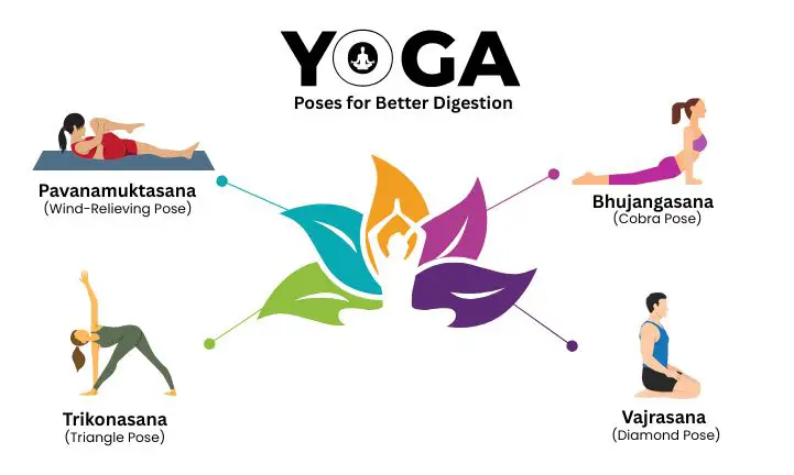 yoga-poses-for-better-digestion